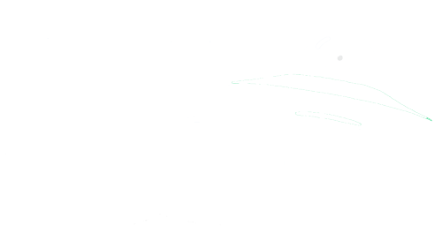 Ay! Un ovni!